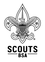 Troop17 logo